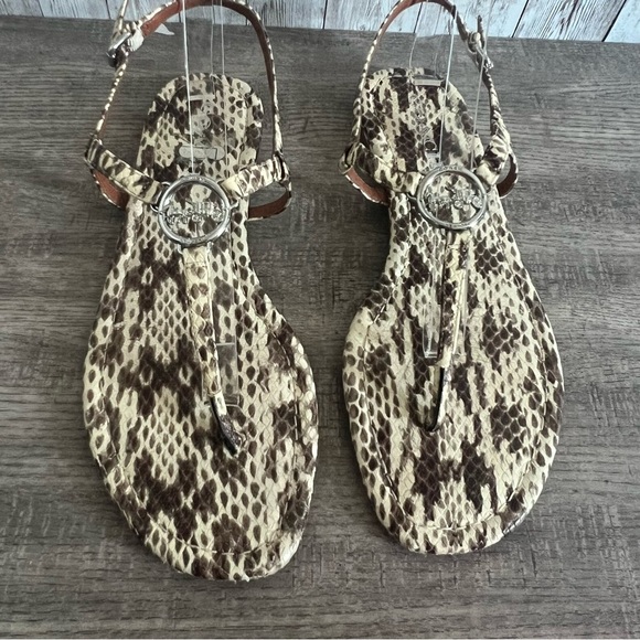 Coach Snakeskin Sandals 9.5 - Picture 1 of 8